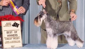 Xena Credit Valley 1997.jpg