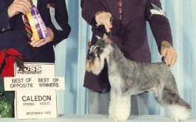 Xena Caledon 1997.jpg